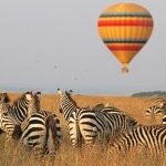 http://www.elegantholidaytours.co.ke/kenyatours/