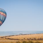 http://www.photosandafrica.com/photo-travel-workshops/photo-experiences/aerial-opportunities/