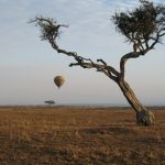 http://www.potentash.com/2014/12/30/hot-air-ballooning-kenya-adventure-sky/