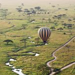 https://lvs.luxury/destination/serengeti/