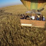 http://africageographic.com/blog/the-maasai-mara-exceeds-expectations/