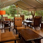 Nairobi national park is full of pools cocktailed with teeming wildlife