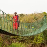 Nairobi national park is a versatile park where white and black rhinos graze together