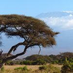 Since 1960s, the Maasai people replaced animal-skin with cotton cloth