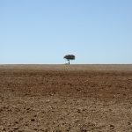 Maasai is a unique tribe