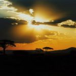 Despite western cultural influences, education, civilization, the Maasais have clung to their traditional ways