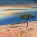 Single Acacia Tree in Masai Mara, Kenya. Film Shot made 1995, scanned