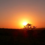 The Masai's distinctiveness has made them one of Kenya's most internationally famous tourist attractions