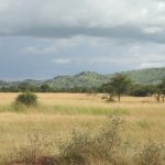 Masai's distinctive dress style has made them one of Kenya's most internationally famous tourist attractions