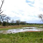 The Masai tribe's distinctive culture and dress style has made them one of Kenya's most internationally famous tourist attractions