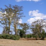 The Masai's distinctive culture and dress style has made them one of Kenya's most internationally famous tourist attractions