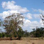 The Masai's distinctive dress style and culture has made them one of Kenya's most internationally famous tourist attractions