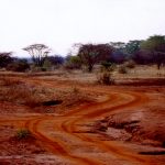 Maasais reside in both Kenya and Tanzania