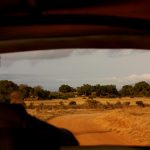 The Masai tribe live along the border of Kenya and Tanzania