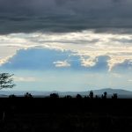 The Maasais live along the border of Kenya and Tanzania