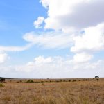 Two thirds of the Maasai people's land was taken away by the Kenyan government and the British to create ranches for settlers