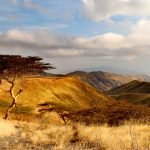 Two thirds of Maasai tribe's land was taken away by the Kenyan government and the British to create ranches for settlers