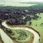 Extensive oral law covers a large part of Maasai behavior