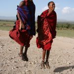 Maasai tribe live in an enclosure