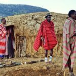 Maasai families live in enclosures called Enkang which contains ten to twenty small huts