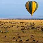 Balloon safari passengers must ensure that they are fit to fly and that they have not undergone any recent surgeries