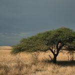 In Nairobi rainfall can be moderate