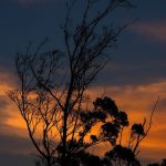 The timing of sunrise and sunset in Nairobi varies little throughout the year because Nairobi is located close to the equator