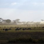 Nairobi was essentially uninhabited swamp