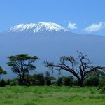 Nairobi was named after a water hole called Enkare Nairobi in Maasai