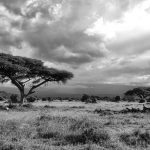 Jomo Kenyatta was Kenya's first president who was jailed for his involvement in the Mau Mau rebellion