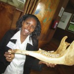 At the Nairobi National Museum you can see preserved the collection of various specimens of wild animals