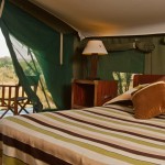 Traditional tented camps are famous for its big cat sightings
