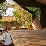 Traditional tented camps are famous for its Maasai cultural experience