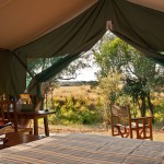 Tented camp delivers exclusive safaris for adventurous families and couples