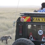 Self-drive safaris are permitted provided you are familiar with the regulations and rules of the National Reserve