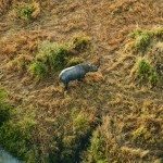 During balloon rides passengers experience a truly awesome panorama on high