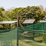 Masai Mara's environmental commitment is reflected in the construction of solar panels