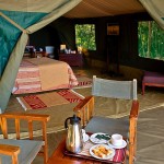Traditional tented camp delivers exclusive safaris for adventurous families and couples