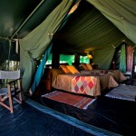 Traditional tented camp delivers exclusive safaris for adventurous couples and families