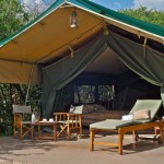 Tents facilitate uninterrupted views