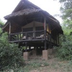 Treehouse are normally built in the middle of nowhere