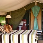 Traditional tented camps deliver exclusive safaris for adventurous couples and families