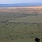 A balloon ride provides opportunities to view animals in locations prohibited to vehicular movement