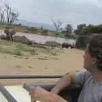 A family of elephants bath together, a behaviour which reinforces social bonding