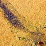 During balloon rides passengers can have the experience of sweeping across the plains