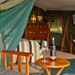 Tented camp delivers exclusive safaris for adventurous couples and families