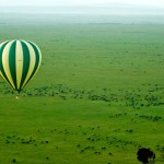 A drive in a safari vehicle is much rougher than the few bumps while landing a hot-air balloon