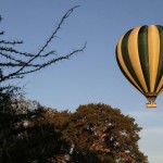 There can be a few bumps while landing, however not as rough as in a safari vehicle