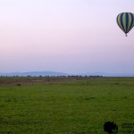 There can be a few bumps while landing a hot-air balloon, however not as rough as in a safari vehicle