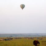 Hot-air balloon ride may be a bit fast on a windy day